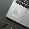 Apple Grey Logo Sticker