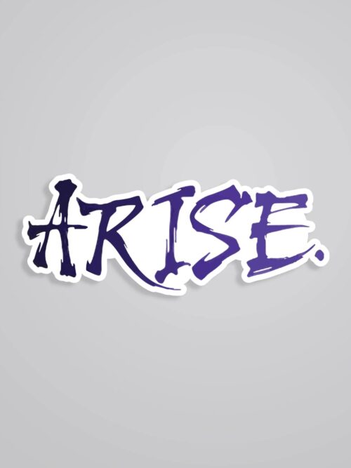 Arise Solo Leveling Anime Stickers