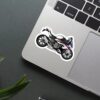 BMW S1000 RR Sticker