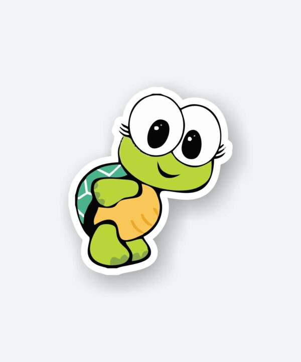 Baby Turtle