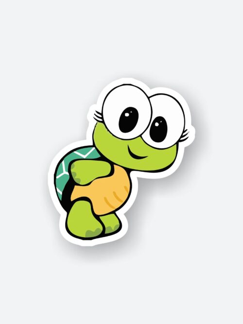 Baby Turtle
