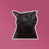Black Cat Meme   Laptop Mobile Stickers