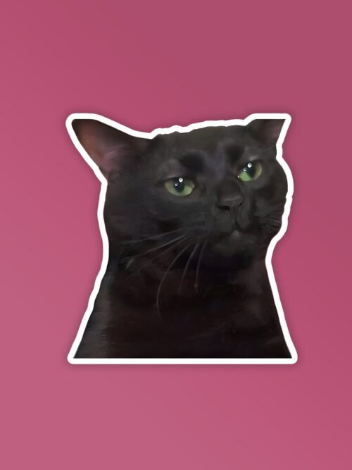 Black Cat Meme   Laptop Mobile Stickers