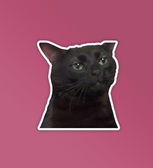 Black Cat Meme Laptop Mobile Stickers Black Cat Meme Laptop Mobile Stickers