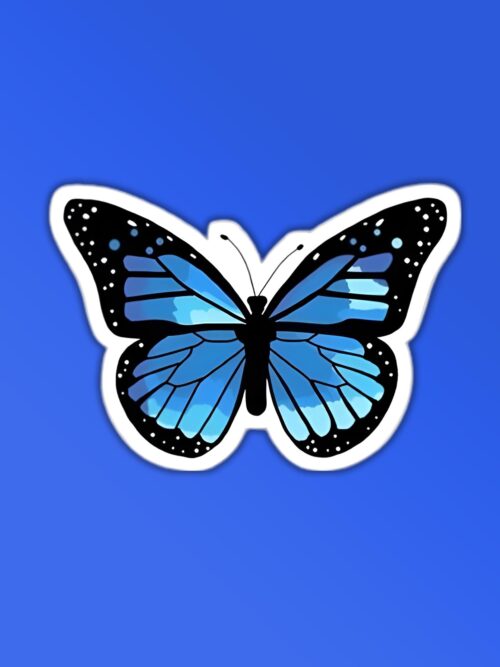 Blue Butterfly