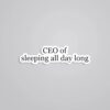 CEO Of Sleeping All Day Witty Stickers