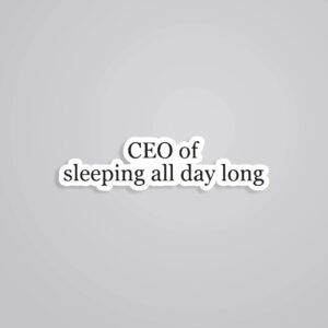 CEO Of Sleeping All Day Witty Stickers