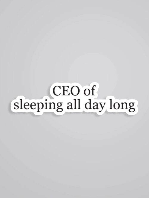 CEO Of Sleeping All Day Witty Stickers