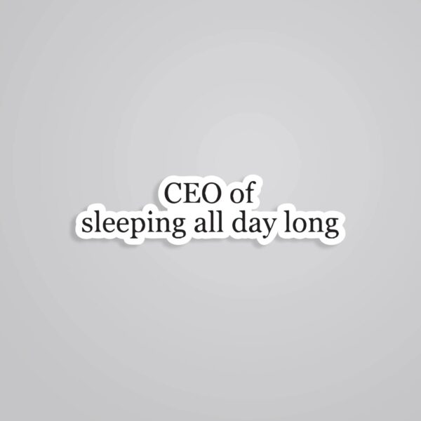 CEO Of Sleeping All Day Witty Stickers CEO Of Sleeping All Day Witty Stickers