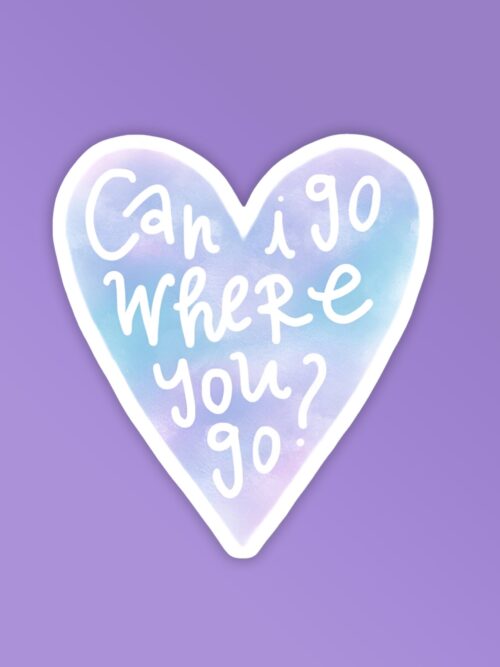 Can I Go Where You Go Taylor Swift Stickers
