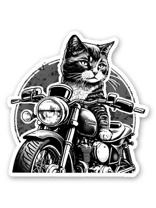 Cat Rider Sticker