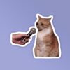 Cat Meme Funny Mic Meme Laptop _ Mobile Sticker