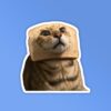 Cat Which Laptop Mobile Stickers