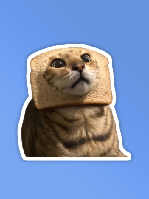 Cat Which Laptop Mobile Stickers