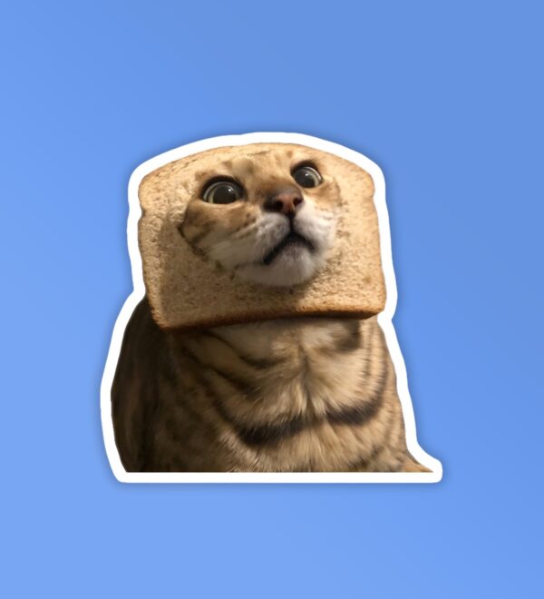 Cat Which Laptop Mobile Stickers Cat Which Laptop Mobile Stickers