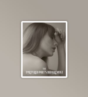 Chairman Of TTDP Taylor Swift Stickers