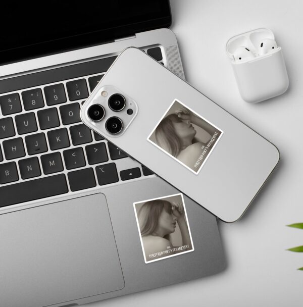 Chairman Of TTDP Taylor Swift Stickers Chairman Of TTDP Taylor Swift Stickers