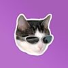 Cool Cat Laptop Mobile Stickers