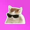 Cool Sunglasses Kitty Laptop Mobile Stickers