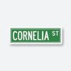 Cornelia ST Taylor Swift