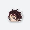 Demon Slayer Tanjiro Hair Sticker