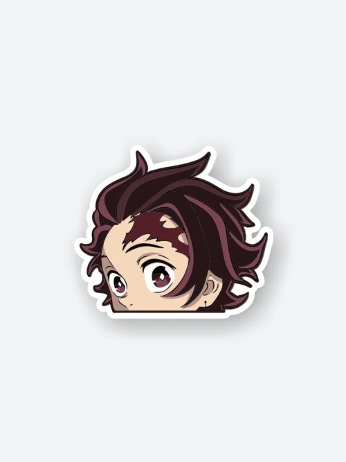 Demon Slayer Tanjiro Hair Sticker