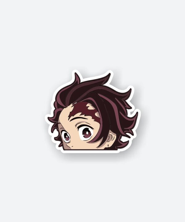Demon Slayer Tanjiro Hair Sticker Demon Slayer Tanjiro Hair Sticker