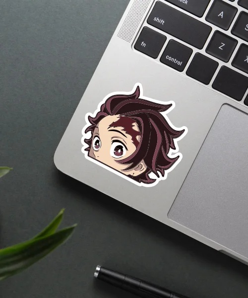 Demon Slayer Tanjiro Hair Sticker Demon Slayer Tanjiro Hair Sticker
