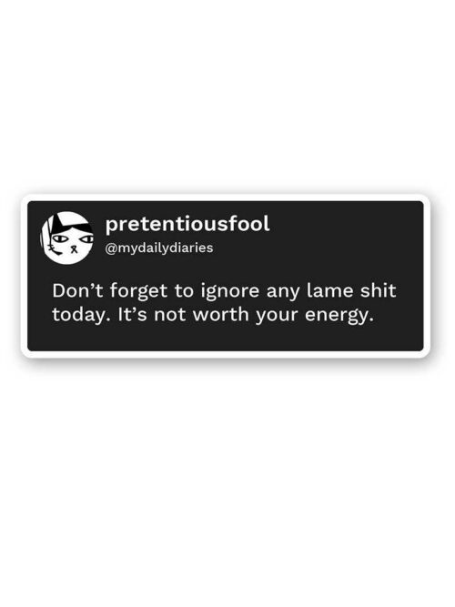 DonT Forget To Ignore Any Lame Shit Today Sticker