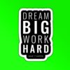 Dream Big Work Hard Sticker