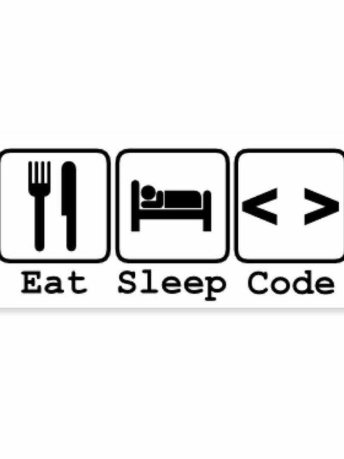 Eat Sleep Code Sticker