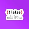 FALSE Programmer Coding Sticker