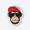 Funky Monkey Sticker