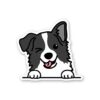 Grey Puppy Sticker