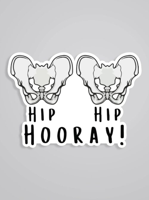 Hip Hip Hooray Witty Stickers