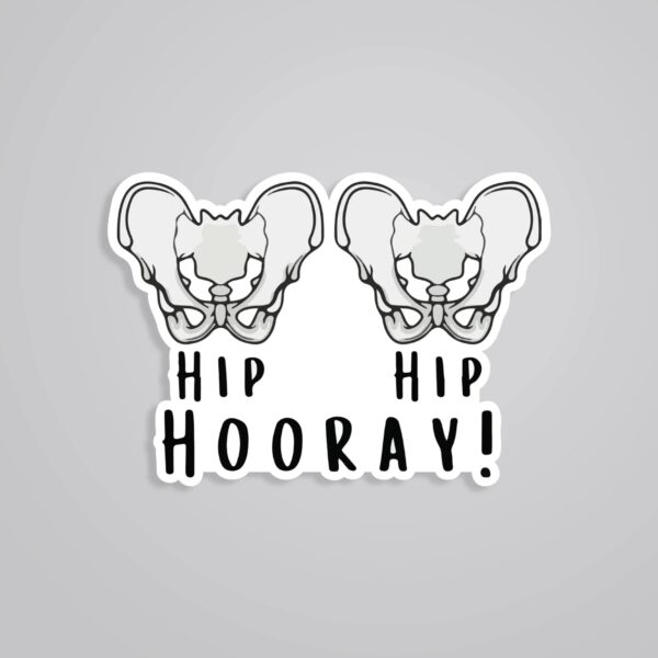 Hip Hip Hooray Witty Stickers Hip Hip Hooray Witty Stickers