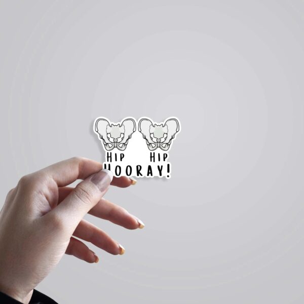 Hip Hip Hooray Witty Stickers Hip Hip Hooray Witty Stickers