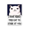Hired This Cat Sticker