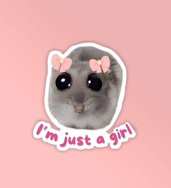 I Am Just A Girl Laptop Mobile Stickers I Am Just A Girl Laptop Mobile Stickers