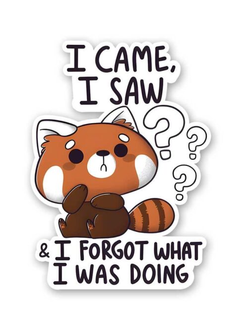 I Came I Saw And I Forgot Sticker