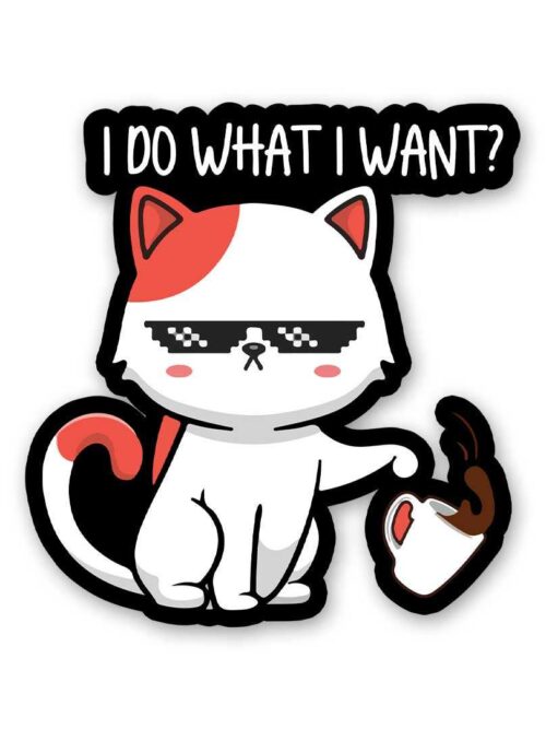 I Do What I Want Sticker