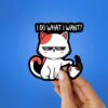 I Do What I Want Sticker
