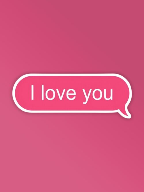 I Love You Text   Laptop Mobile Stickers