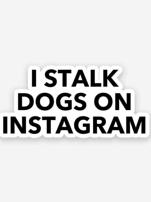 I Stalk Dogs On Instagram Sticker