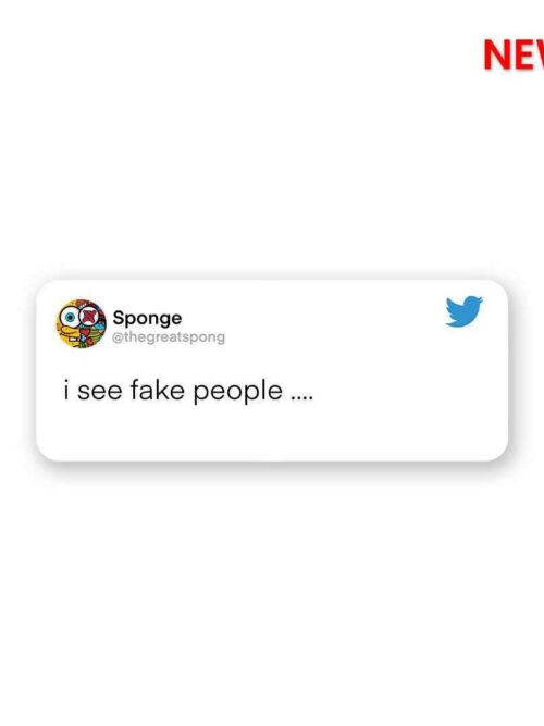 I See Fake People Sticker