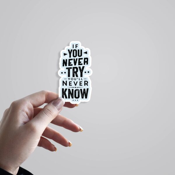 If You Never Try Youll Never Know Motivational Stickers