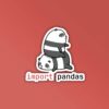 Import Panda Programmer Coding Sticker