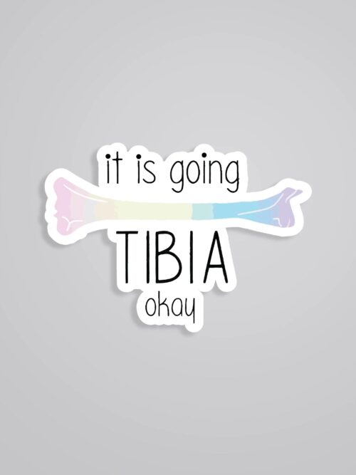 It Is Going TIBIA Okay Witty Stickers