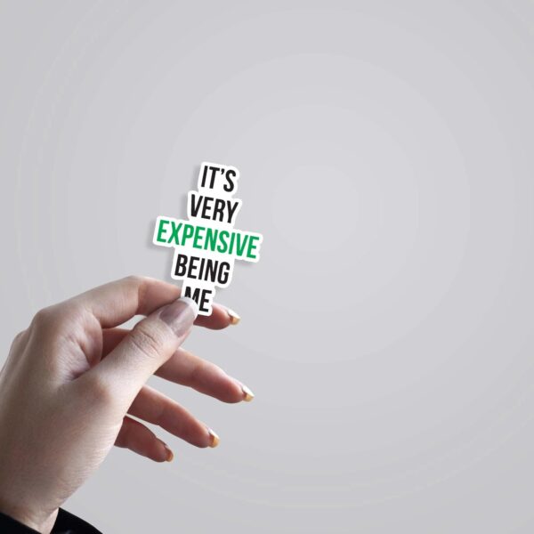 Its Very Expensive Being Me Witty Stickers Its Very Expensive Being Me Witty Stickers