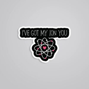 Ive Got My ION You Witty Stickers